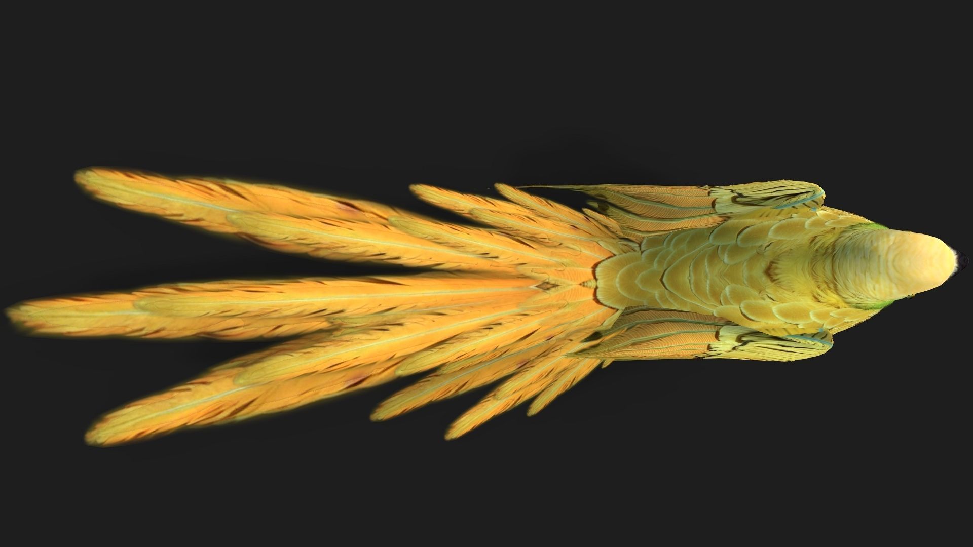 Parrot A7 3D model_9