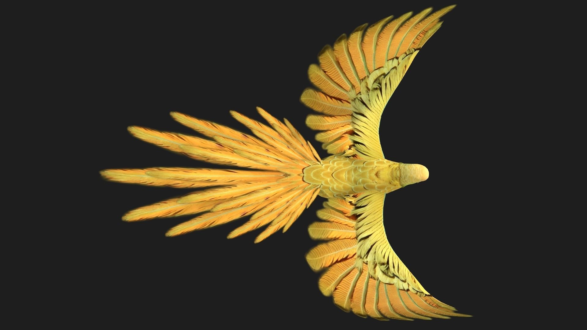 Parrot A7 3D model_3