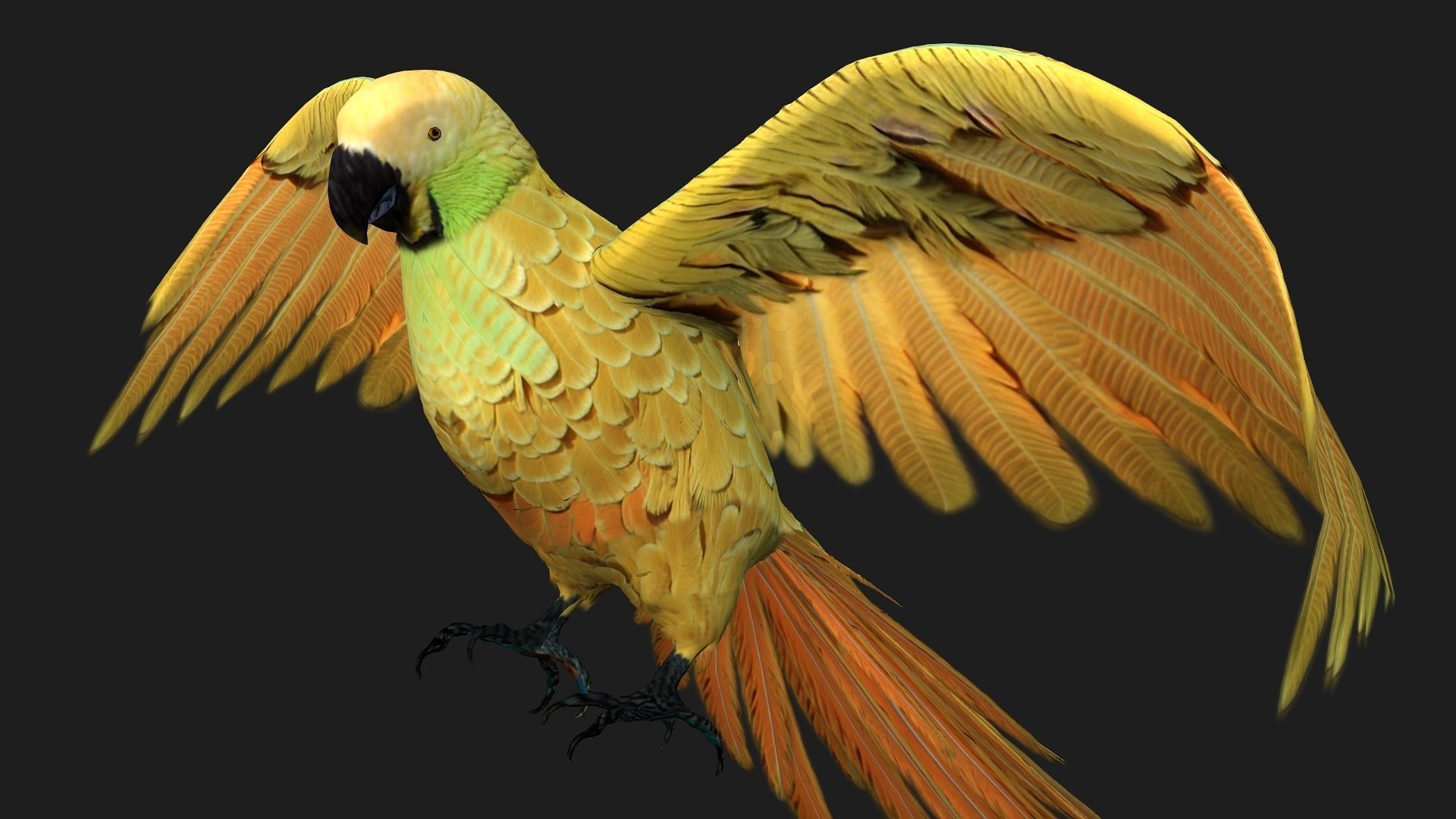 Parrot A7 3D model_2