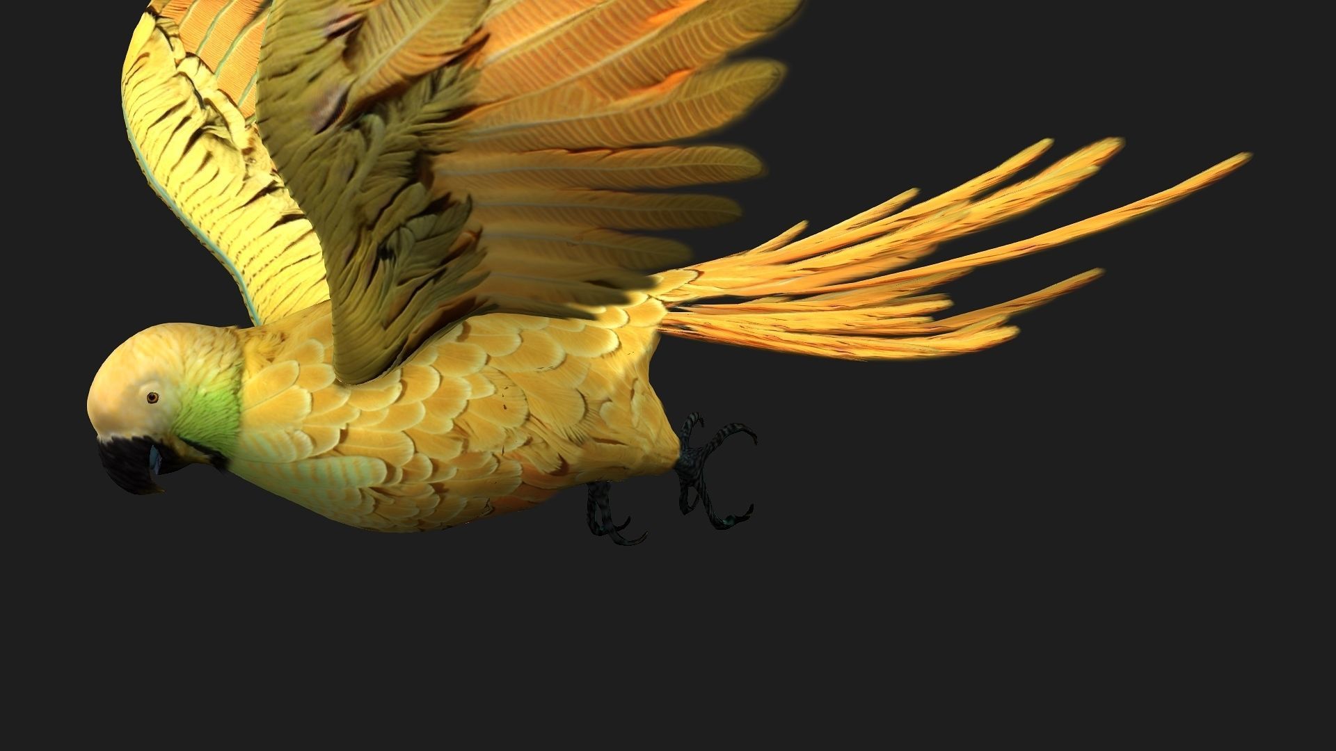 Parrot A7 3D model_6