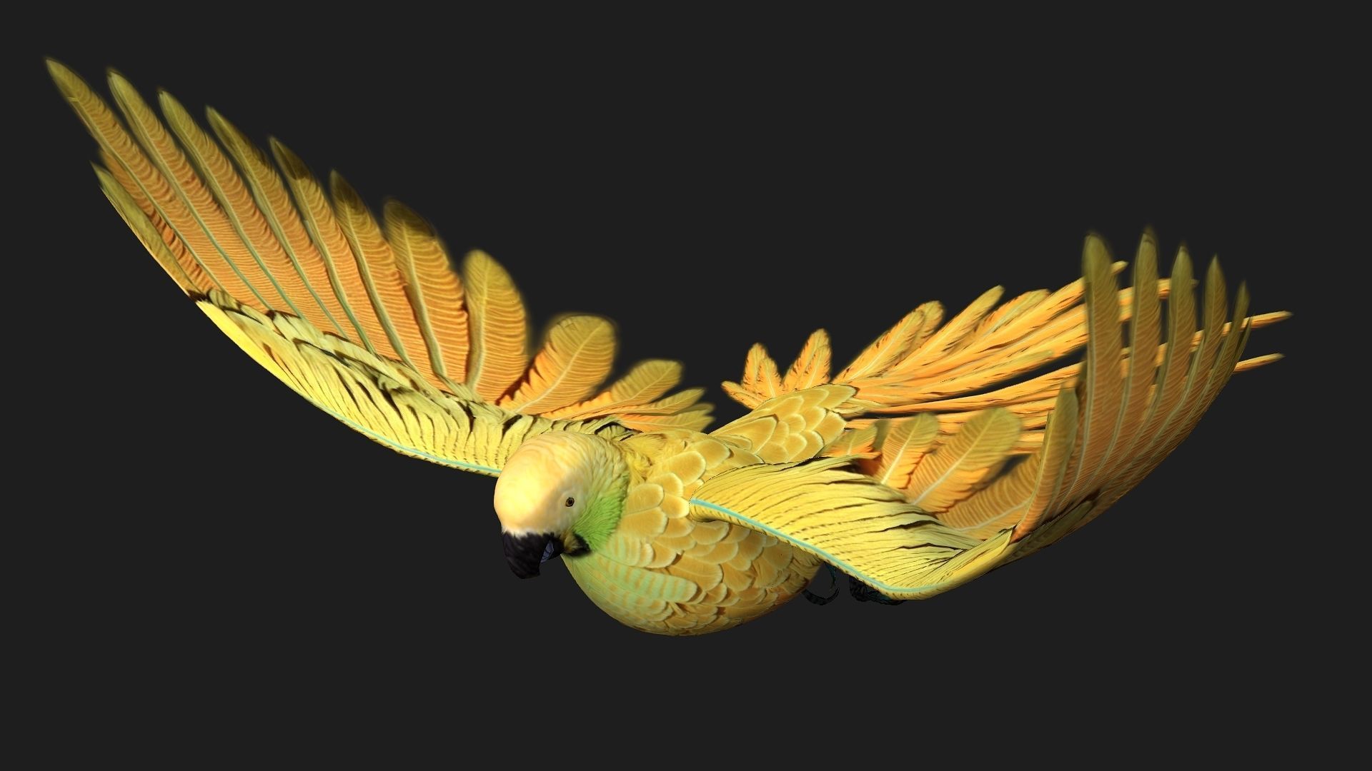 Parrot A7 3D model_4