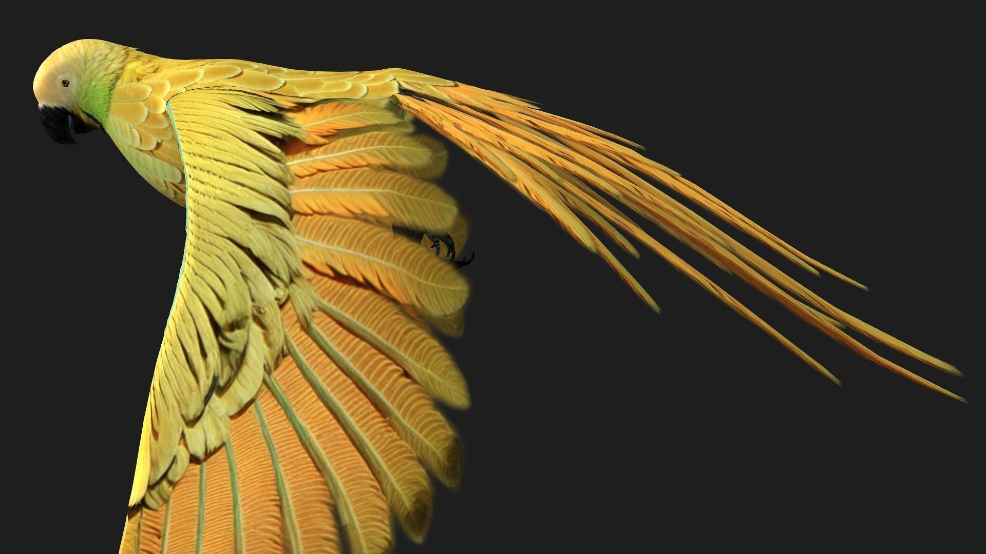 Parrot A7 3D model_5