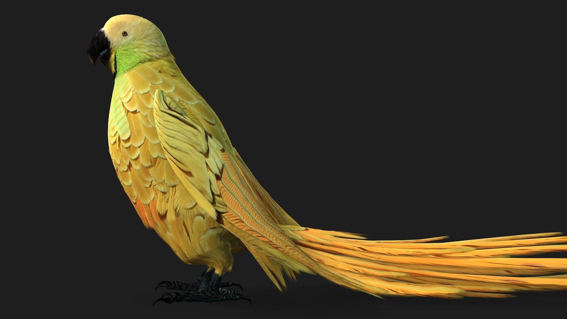 Parrot A7 3D model_10