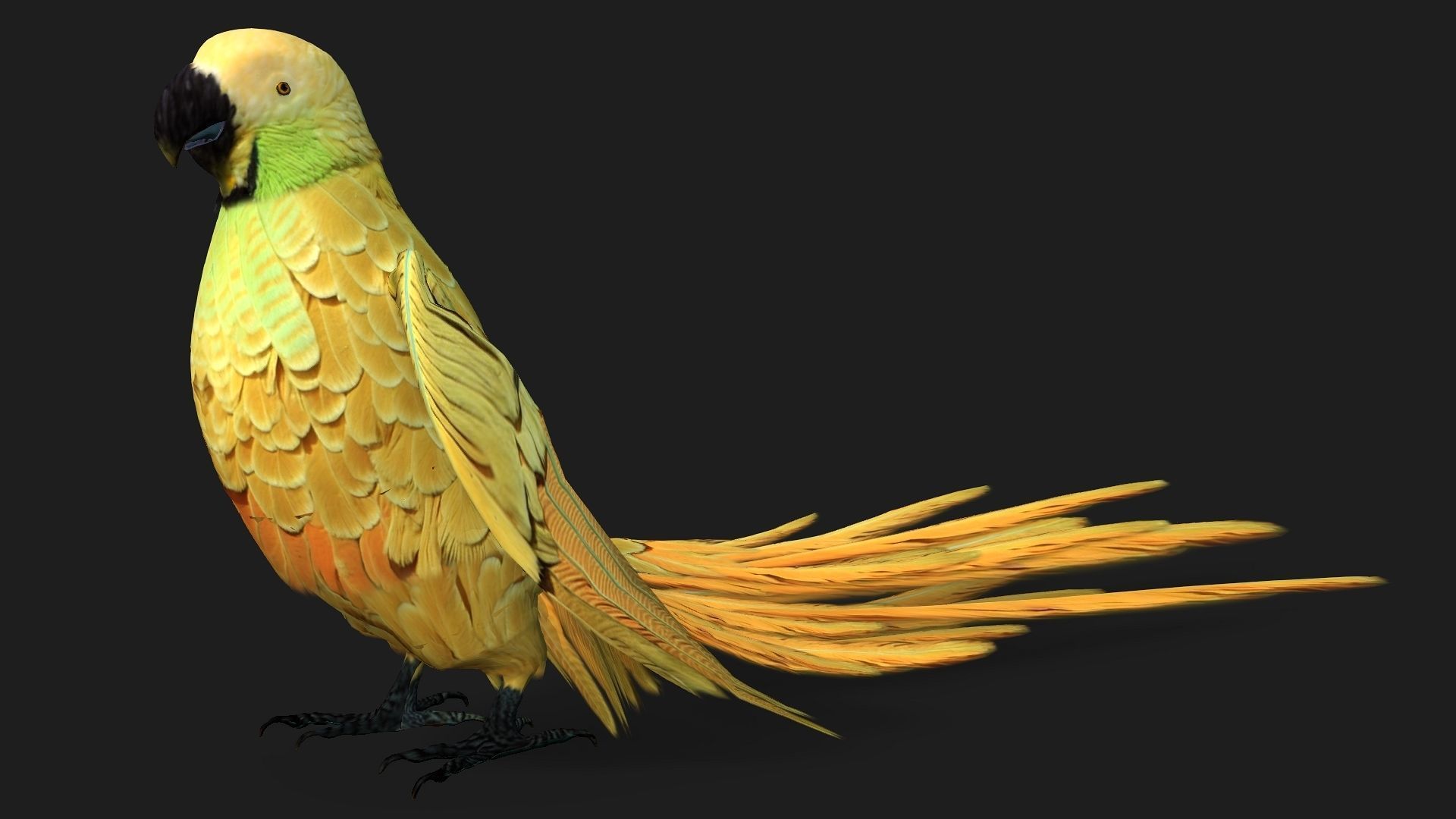 Parrot A7 3D model_8