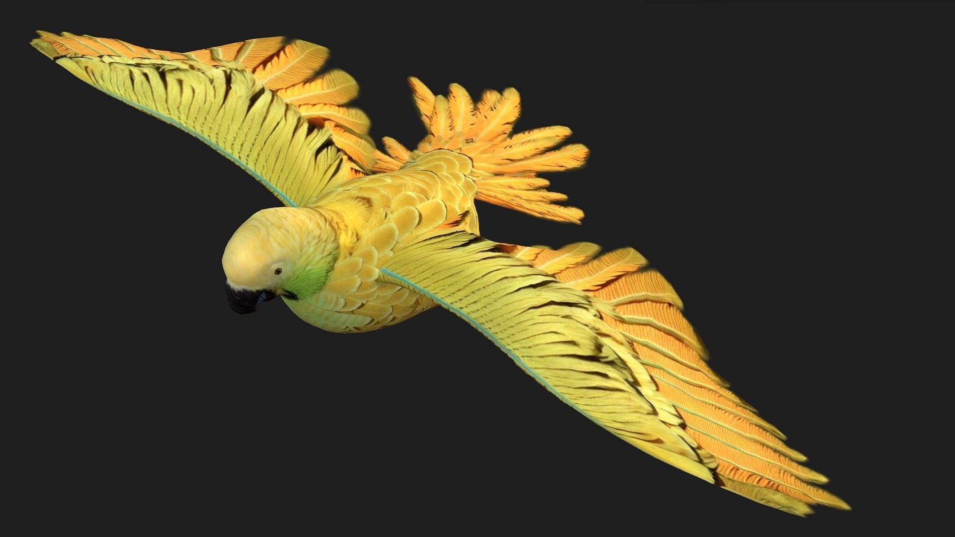 Parrot A7 3D model_7
