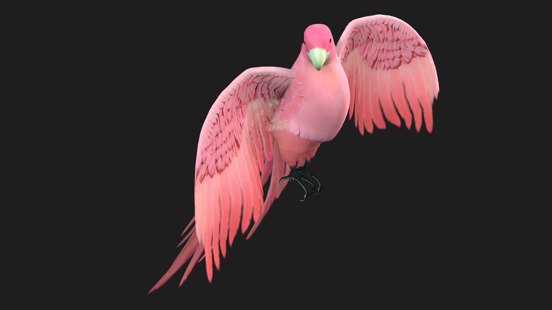 Parrot A8 3D model_7