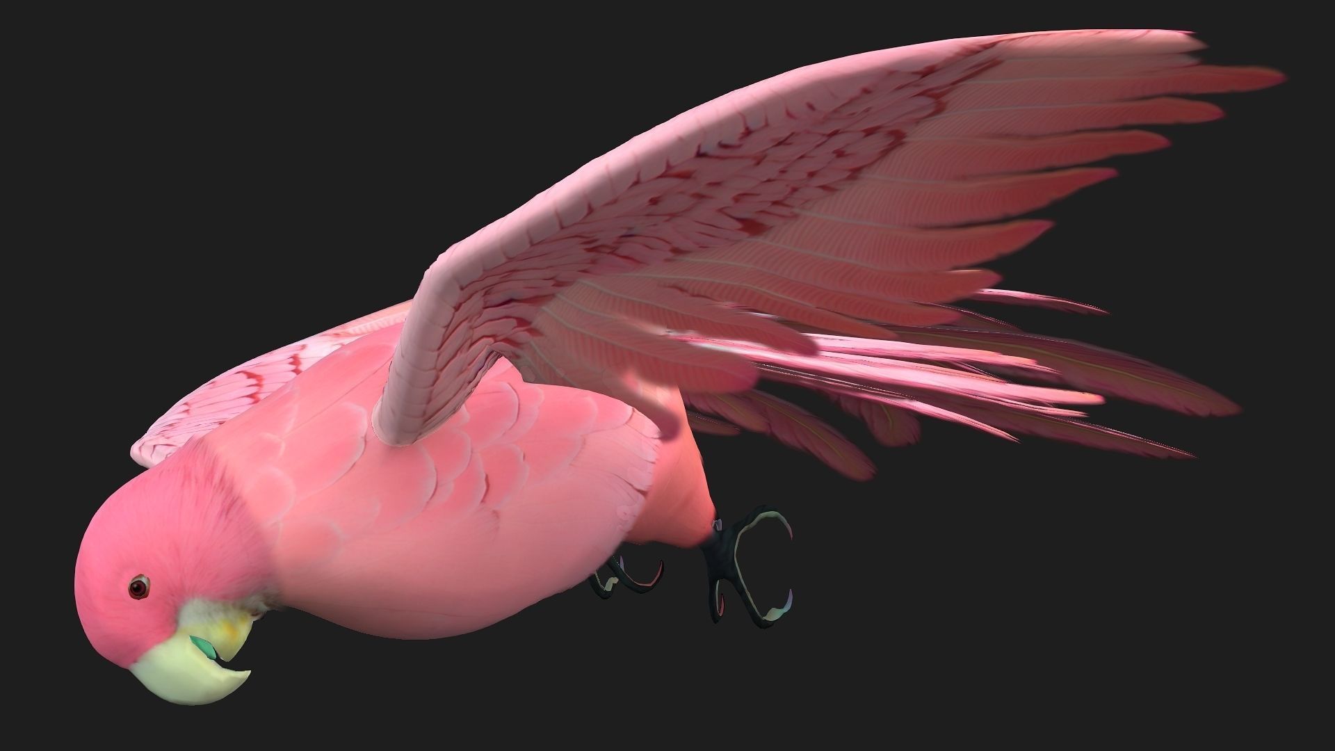 Parrot A8 3D model_8