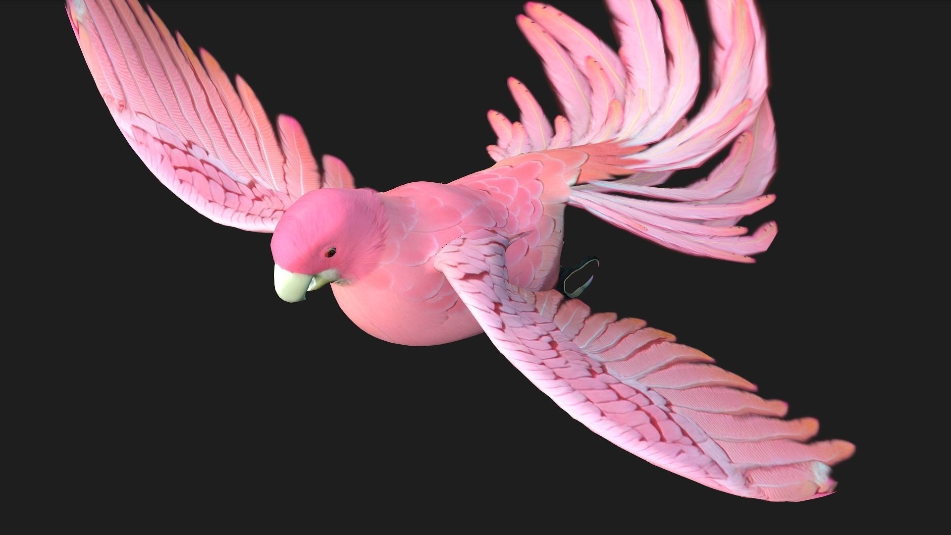 Parrot A8 3D model_9