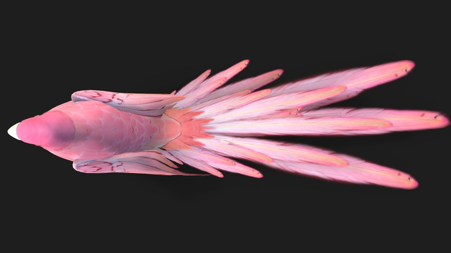 Parrot A8 3D model_10