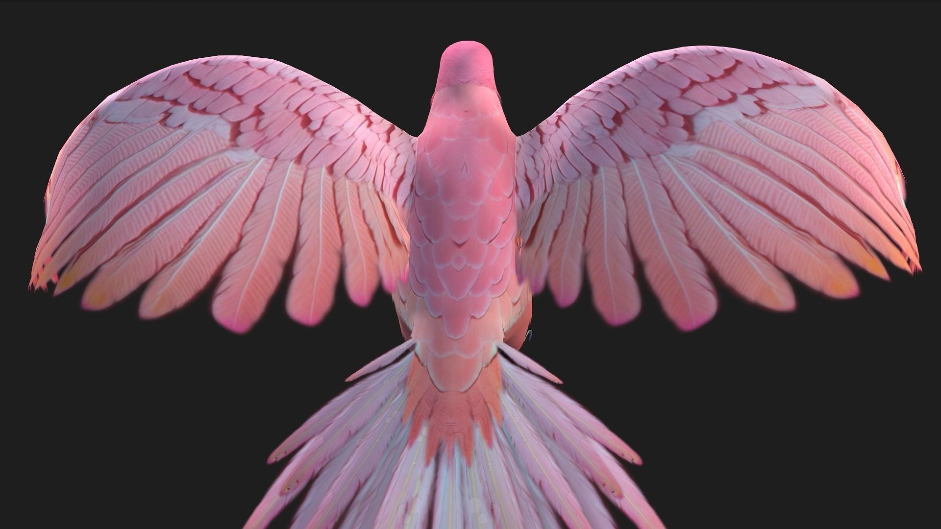 Parrot A8 3D model_4