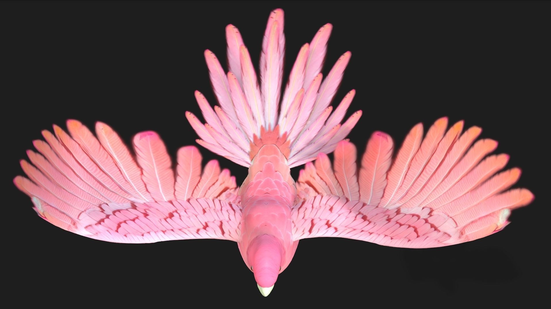 Parrot A8 3D model_5