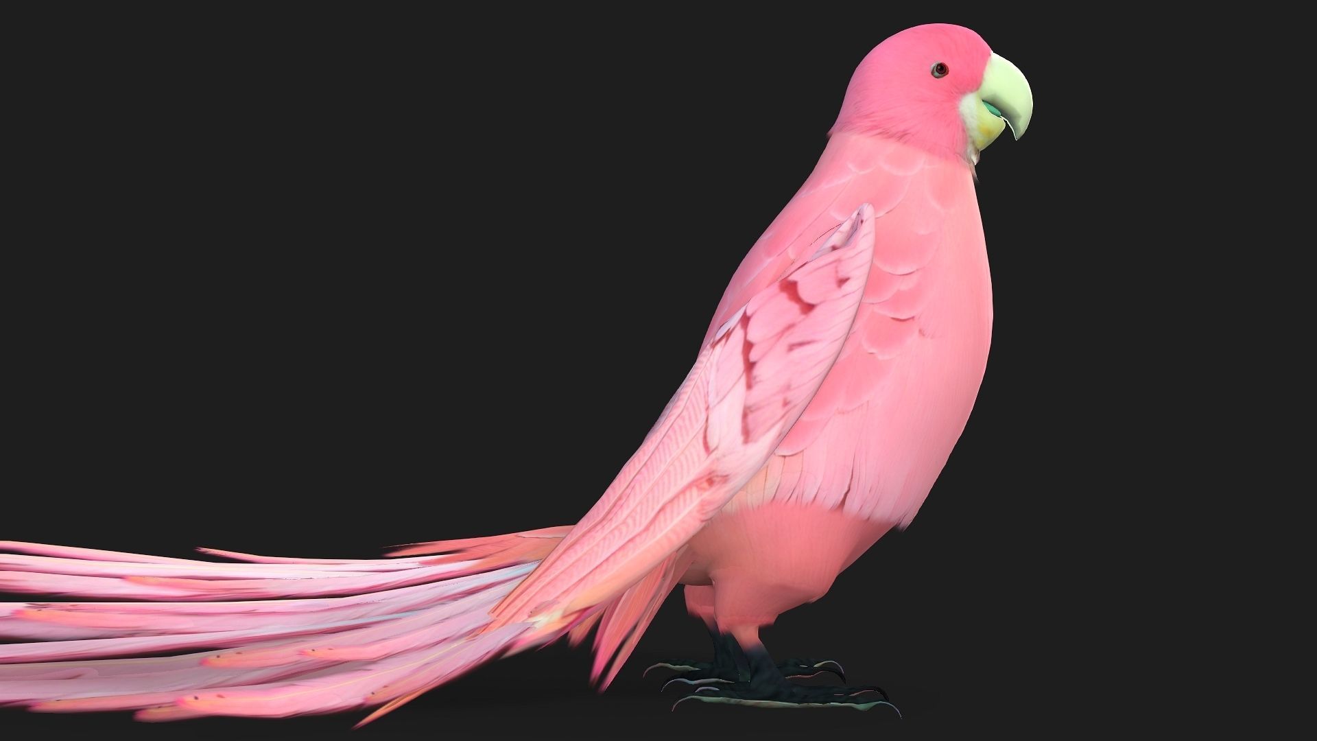 Parrot A8 3D model_3