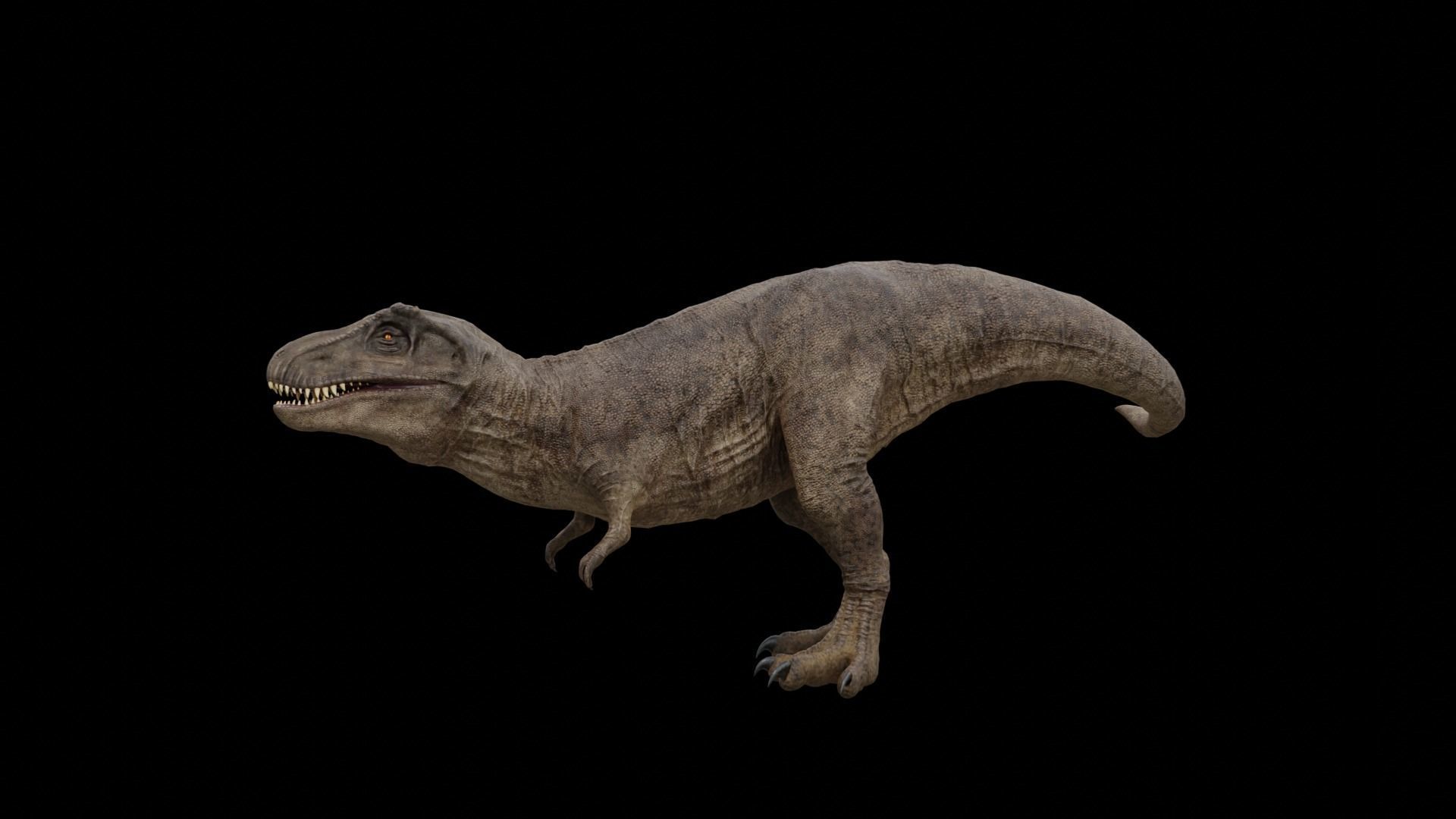 Monster Tyrannosaurus Rex Dinosaur Low-poly 3D model_37