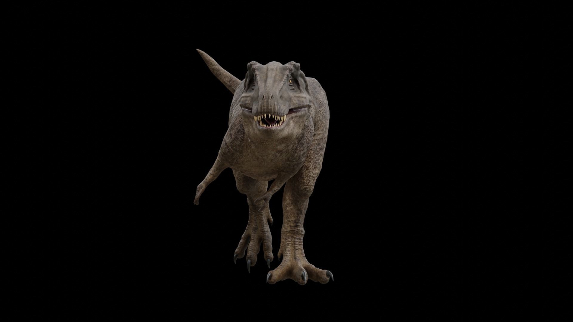Monster Tyrannosaurus Rex Dinosaur Low-poly 3D model_13