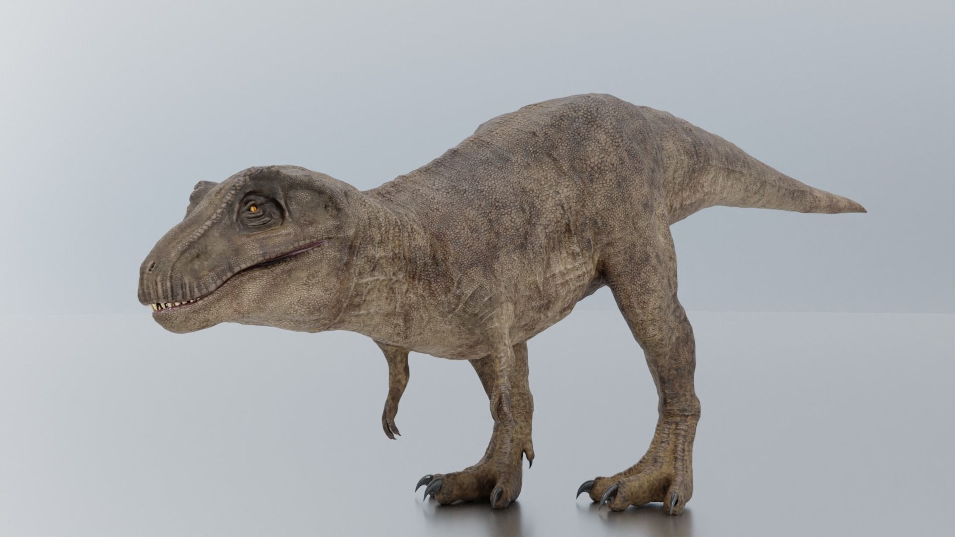 Monster Tyrannosaurus Rex Dinosaur Low-poly 3D model_34