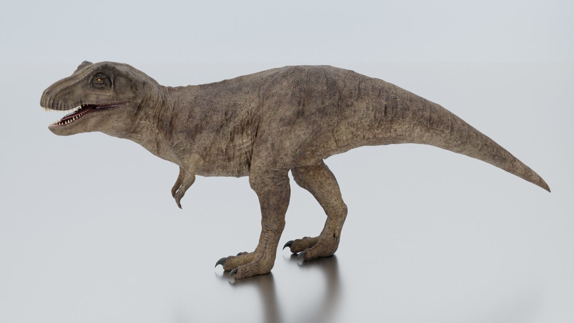 Monster Tyrannosaurus Rex Dinosaur Low-poly 3D model_4