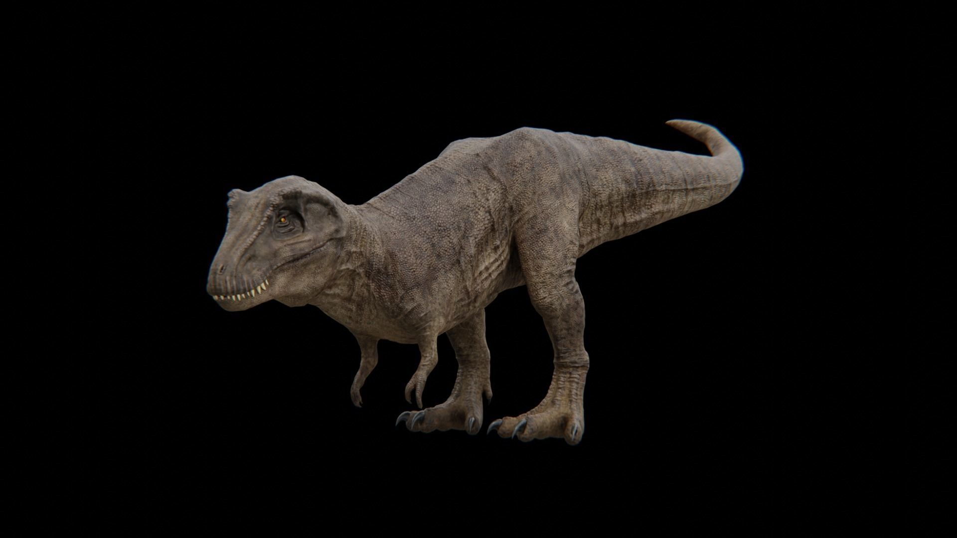 Monster Tyrannosaurus Rex Dinosaur Low-poly 3D model_28