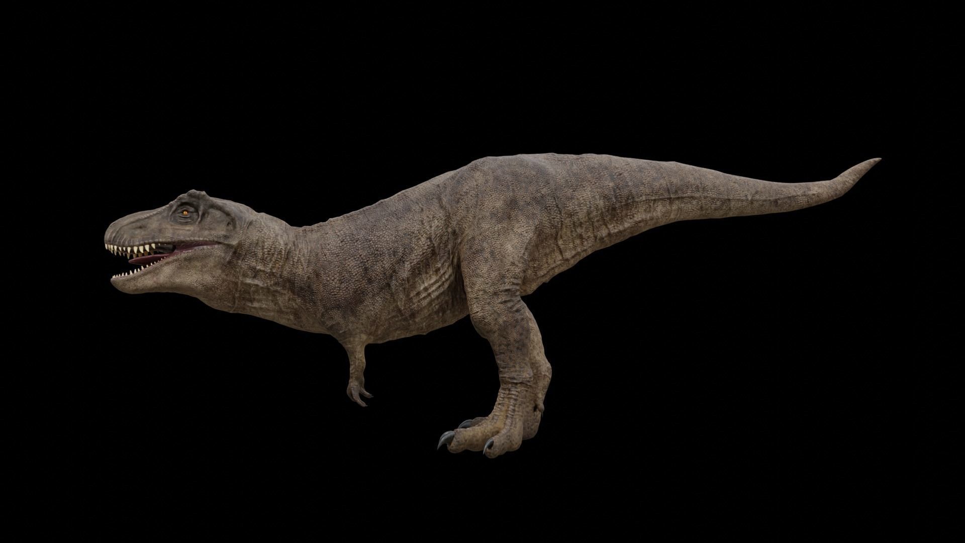 Monster Tyrannosaurus Rex Dinosaur Low-poly 3D model_16