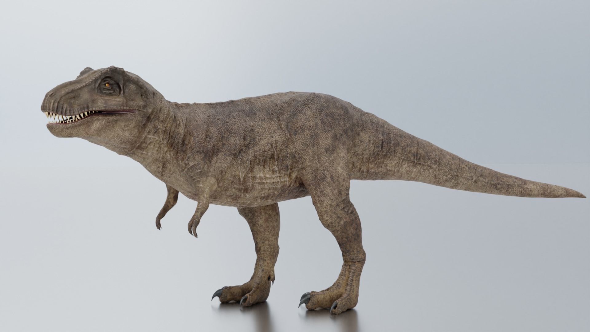 Monster Tyrannosaurus Rex Dinosaur Low-poly 3D model_30