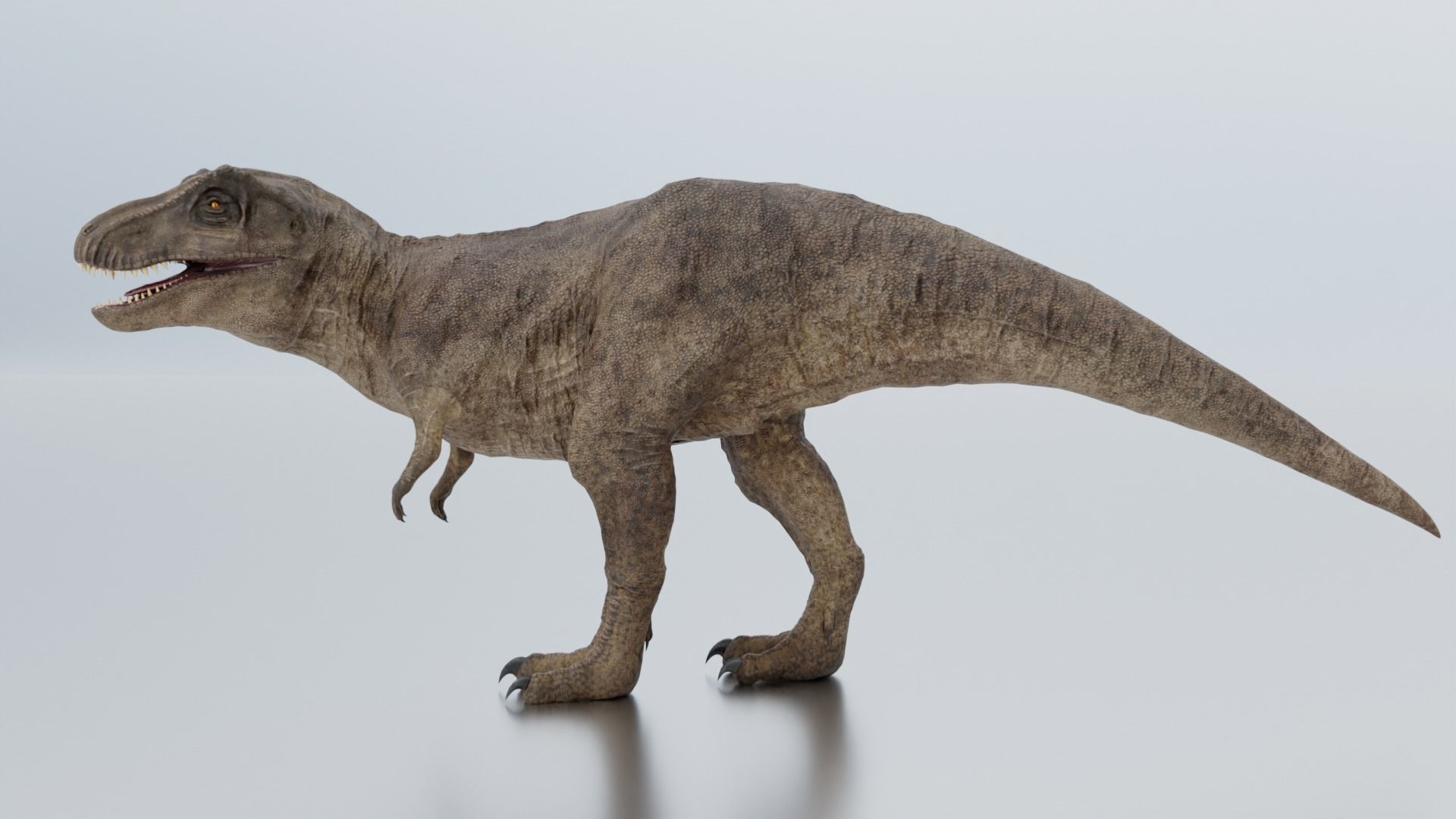 Monster Tyrannosaurus Rex Dinosaur Low-poly 3D model_33