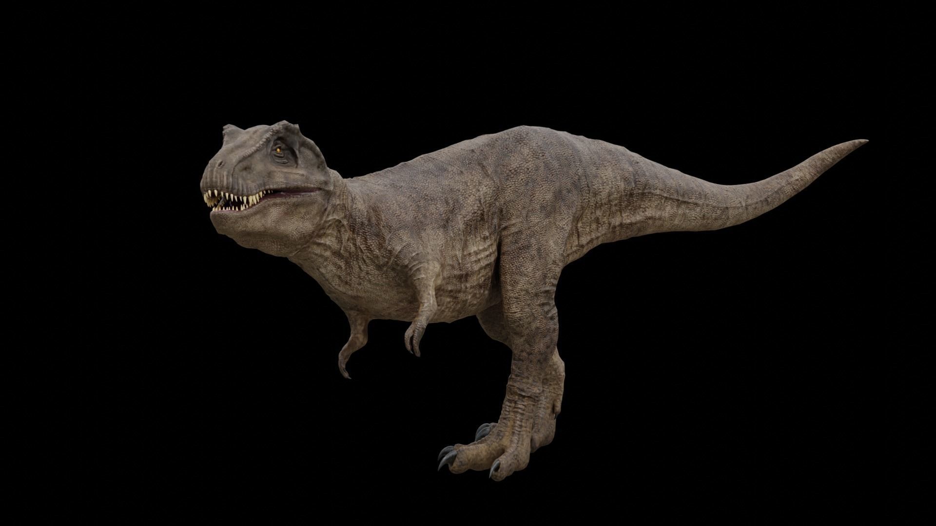 Monster Tyrannosaurus Rex Dinosaur Low-poly 3D model_29