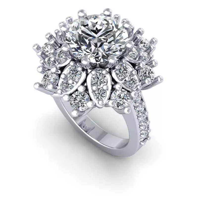 3D CAD NJ-1480-Ring 3D print model_0