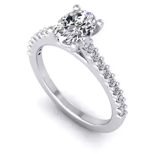 3D CAD NJ-1567-Ring 3D print model