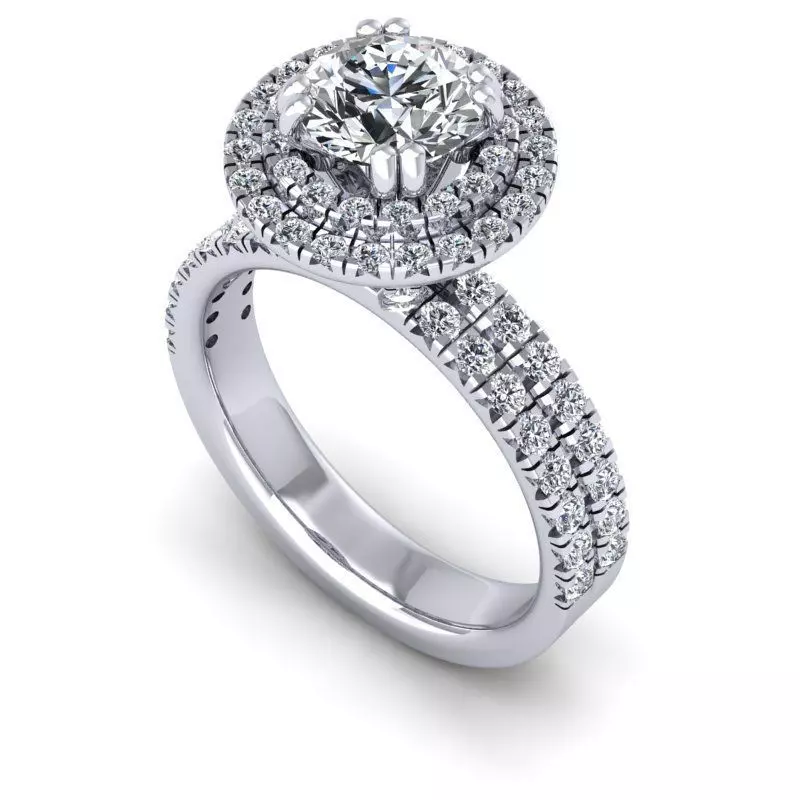 3D CAD NJ-1557-Ring 3D print model_0