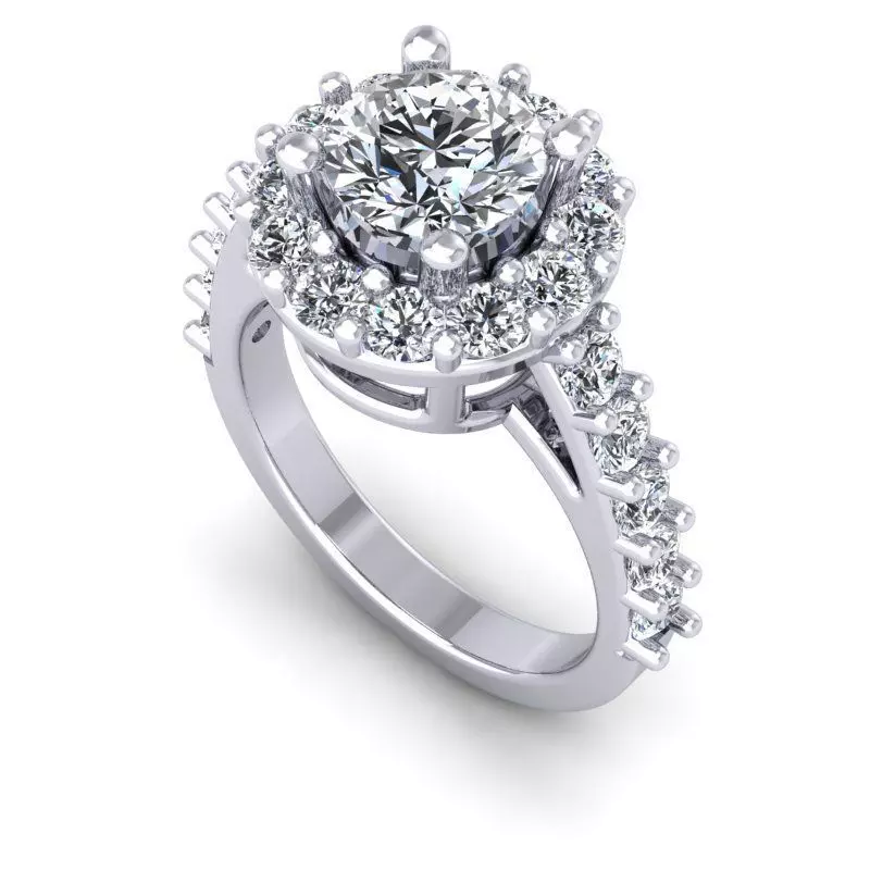 3D CAD NJ-1634-Ring 3D print model_0