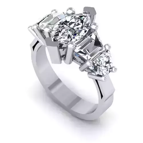 3D CAD NJ-1605-Ring