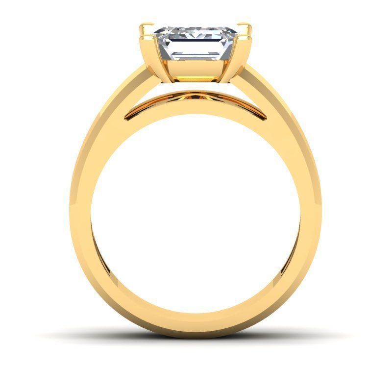 3D CAD NJ-1642-Ring 3D print model_9