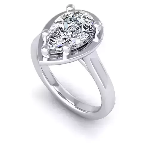 3D CAD NJ-1820-Ring