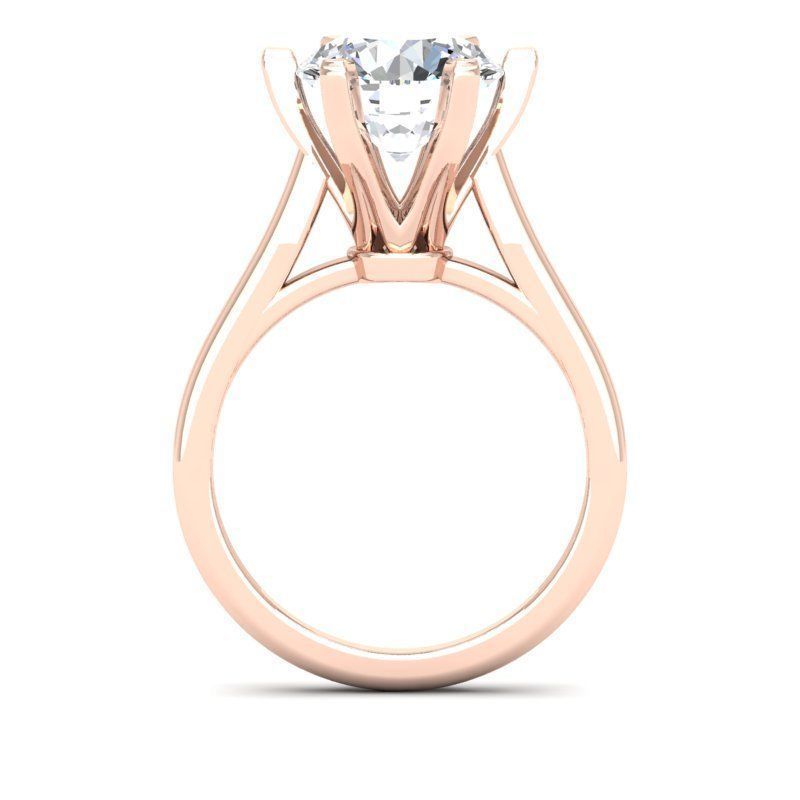 3D CAD NJ-1811-Ring 3D print model_8