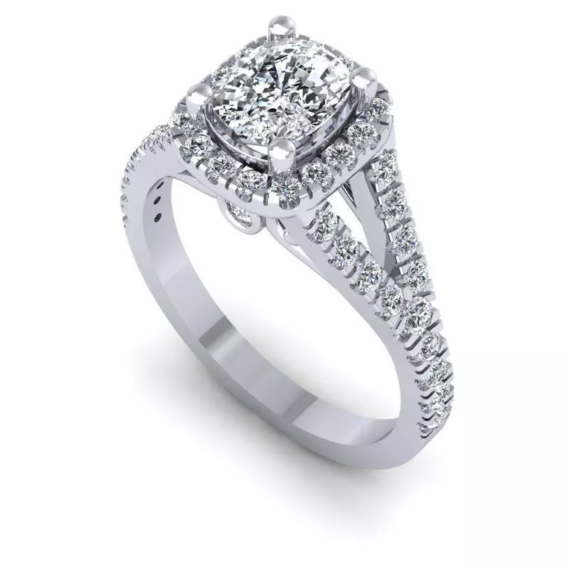3D CAD NJ-1804-Ring 3D print model