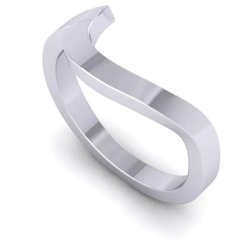 3D CAD NJ-1790-Ring 3D print model_0