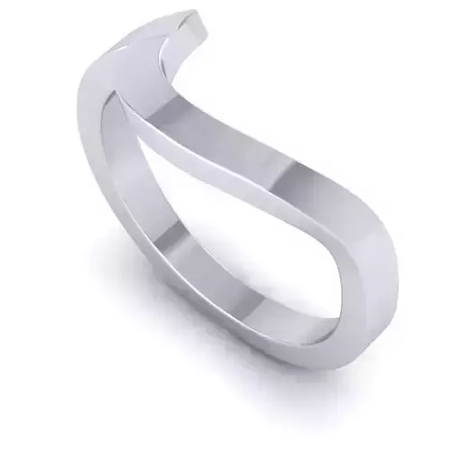 3D CAD NJ-1790-Ring