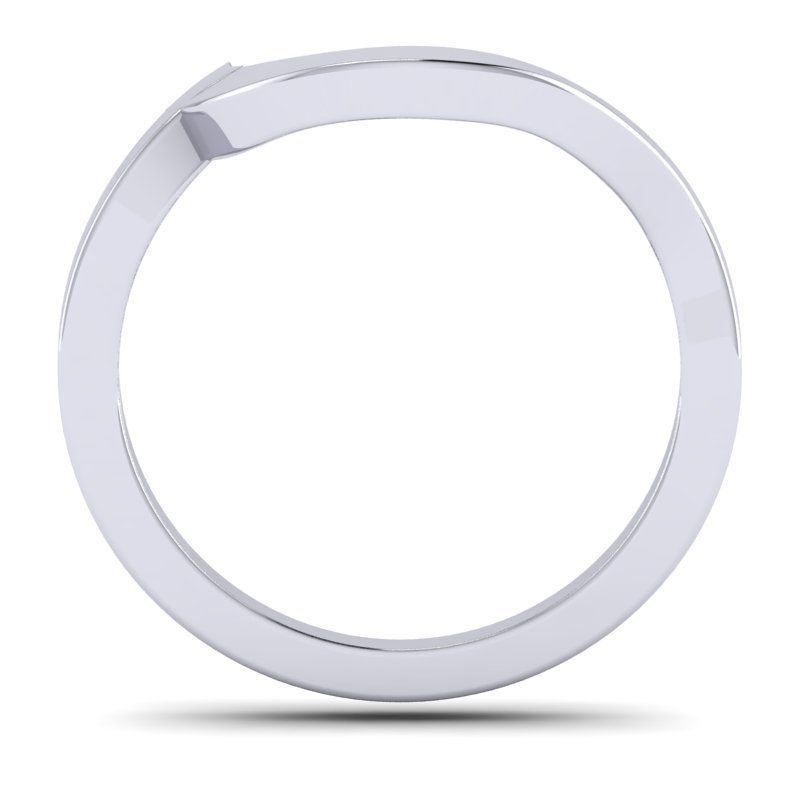 3D CAD NJ-1790-Ring 3D print model_6