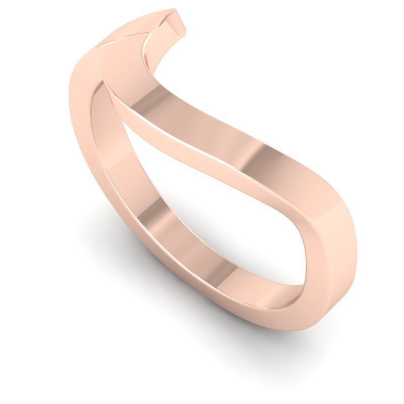 3D CAD NJ-1790-Ring 3D print model_1