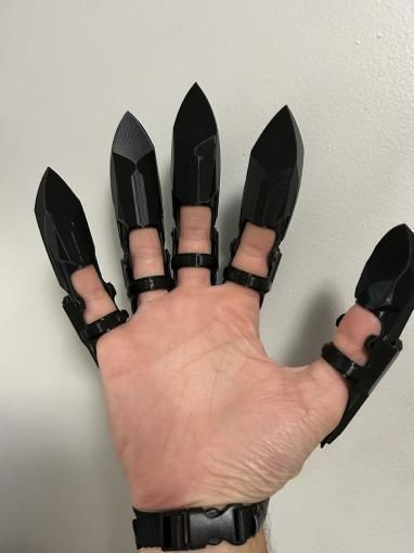 Claws 3D print model_1