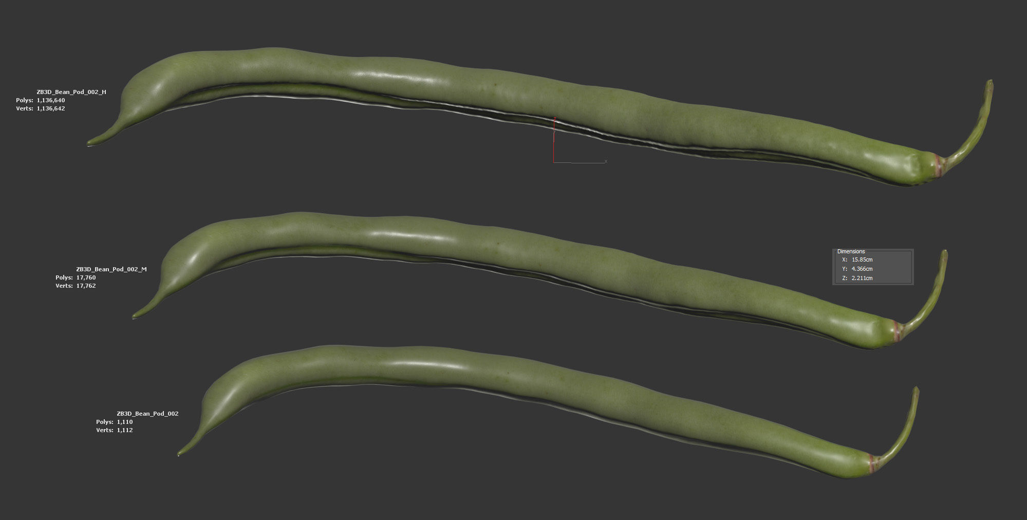 Bean Pod 3D model_5