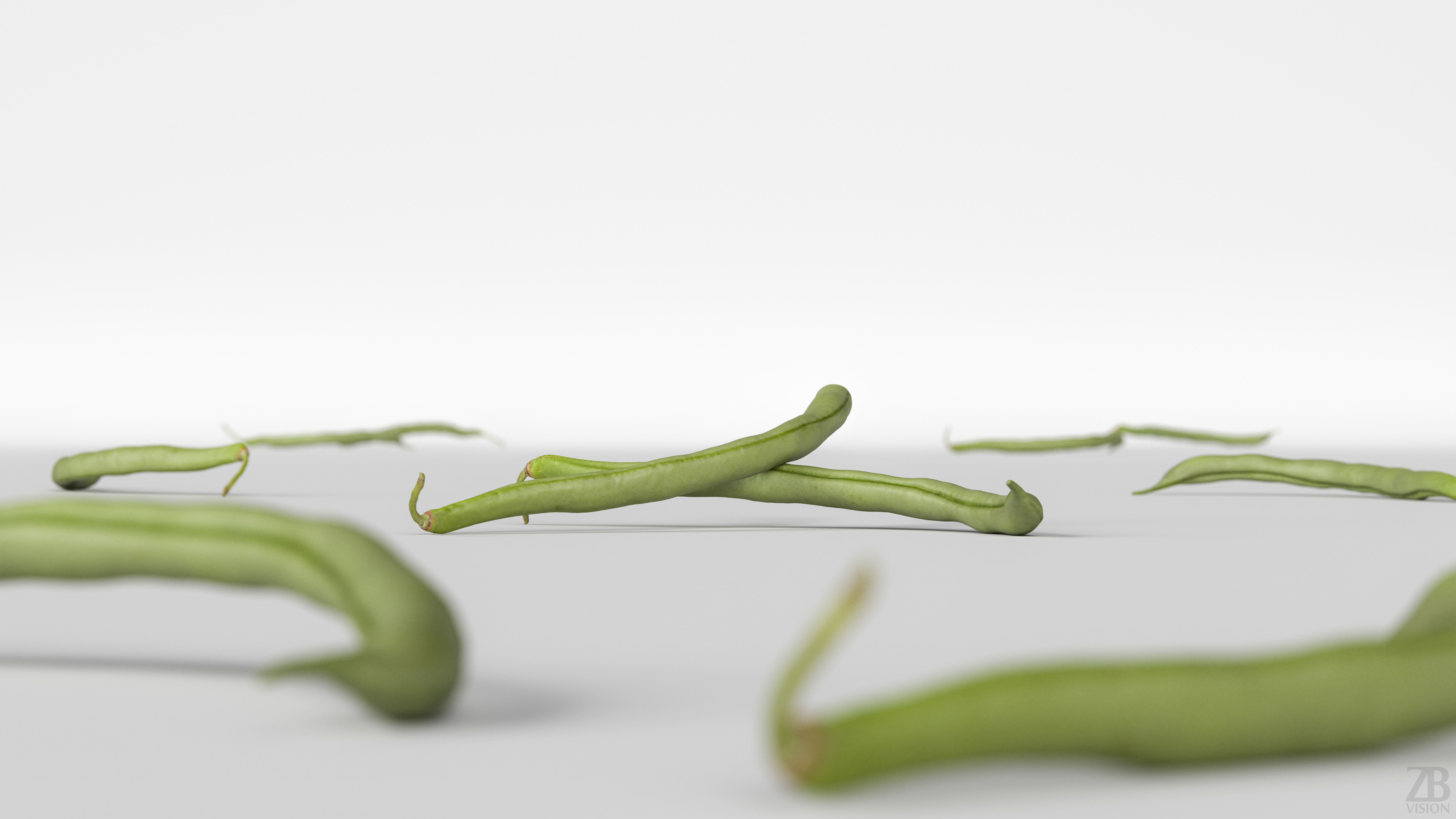 Bean Pod 3D model_1