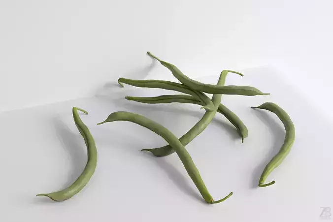 Bean Pod 3D model Bean Pod 3D model