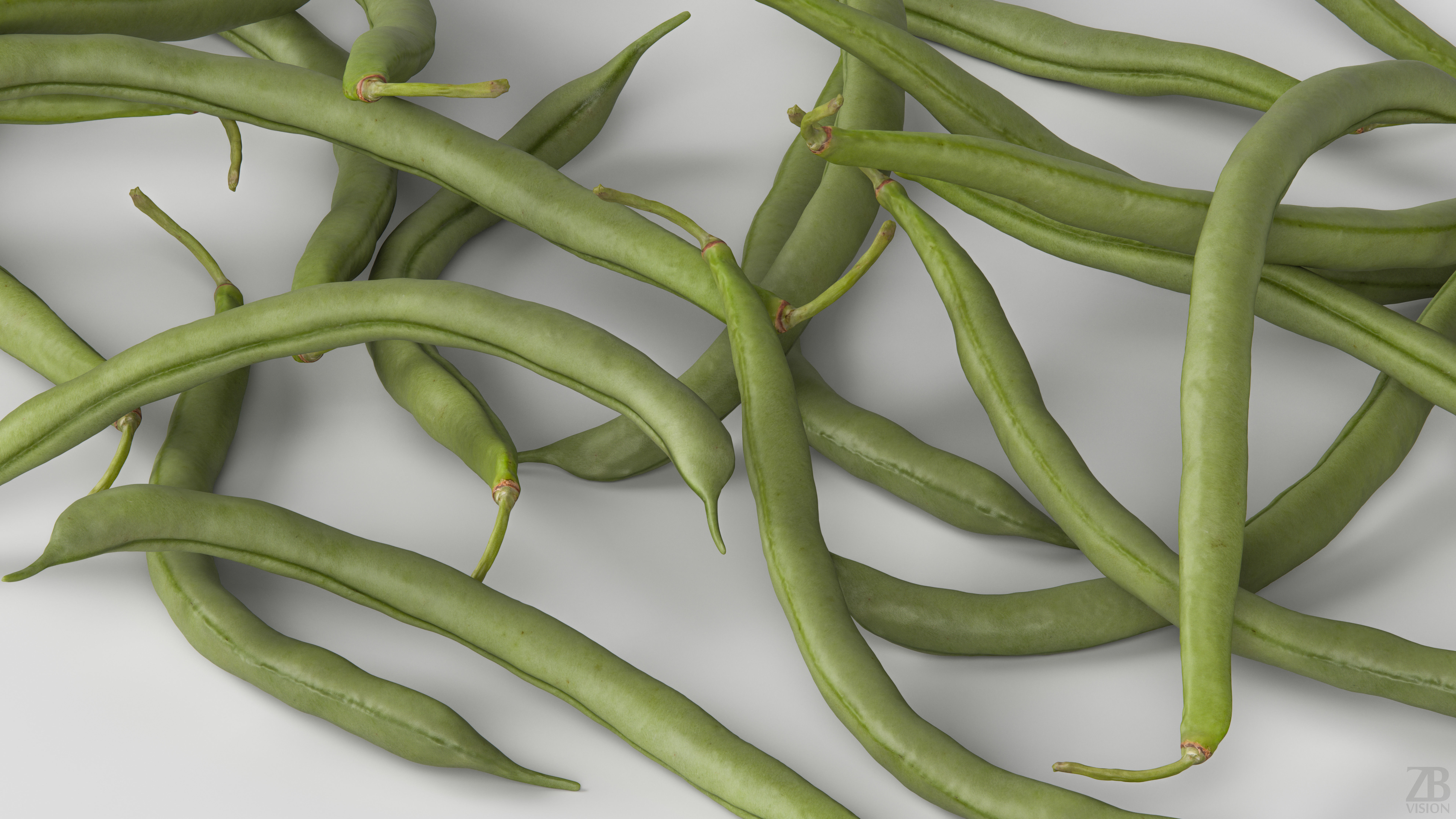 Bean Pod 3D model_2