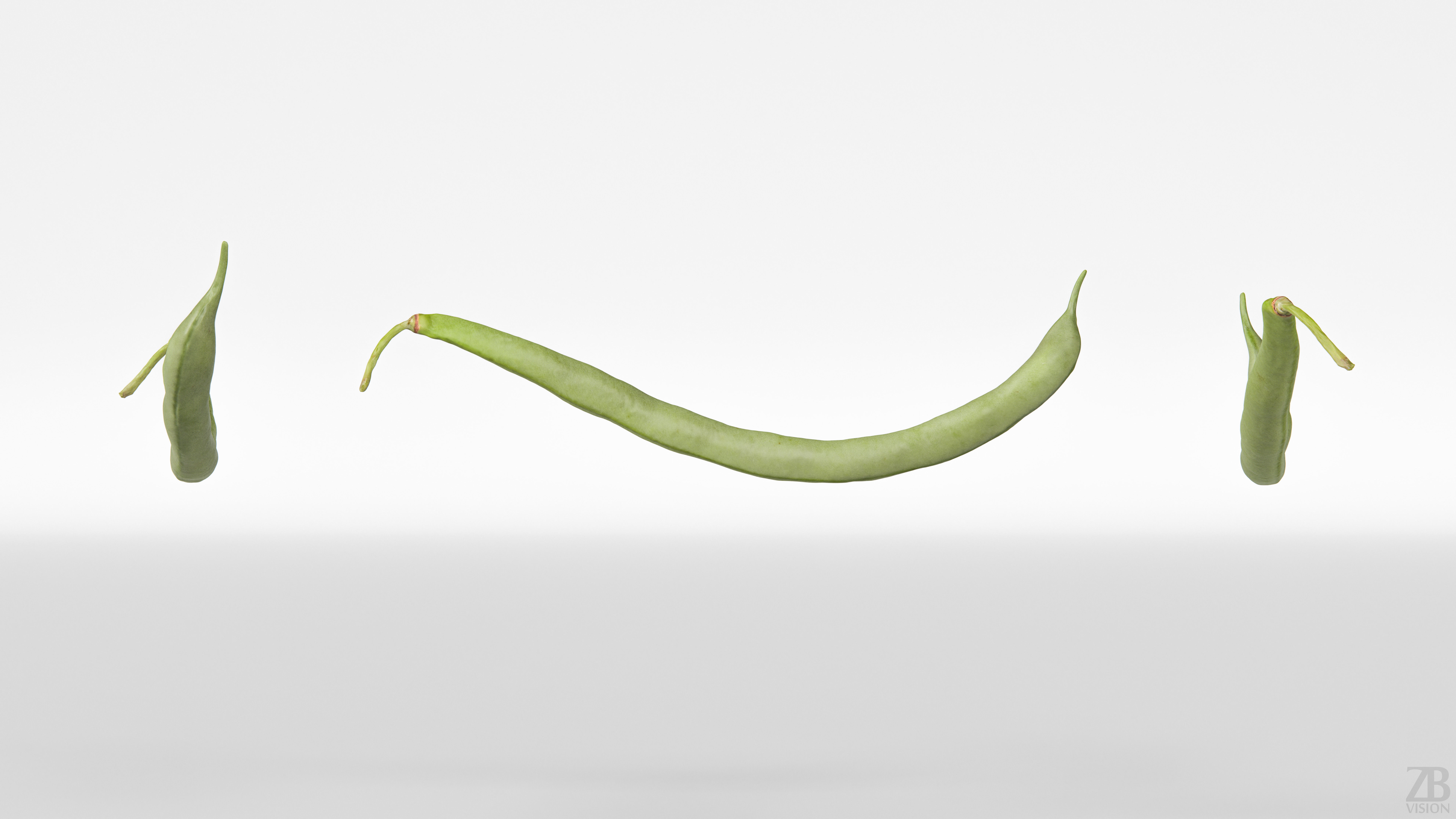 Bean Pod 3D model_4