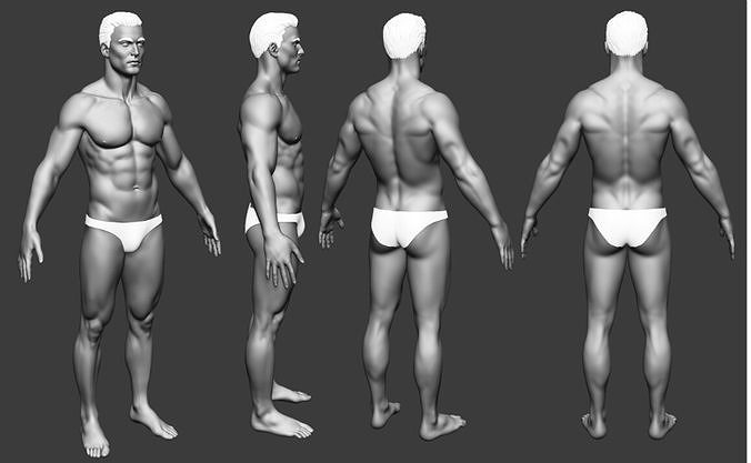 male body  Free 3D model