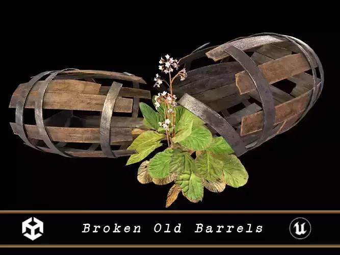 Broken Old Barrels Low-poly 3D model