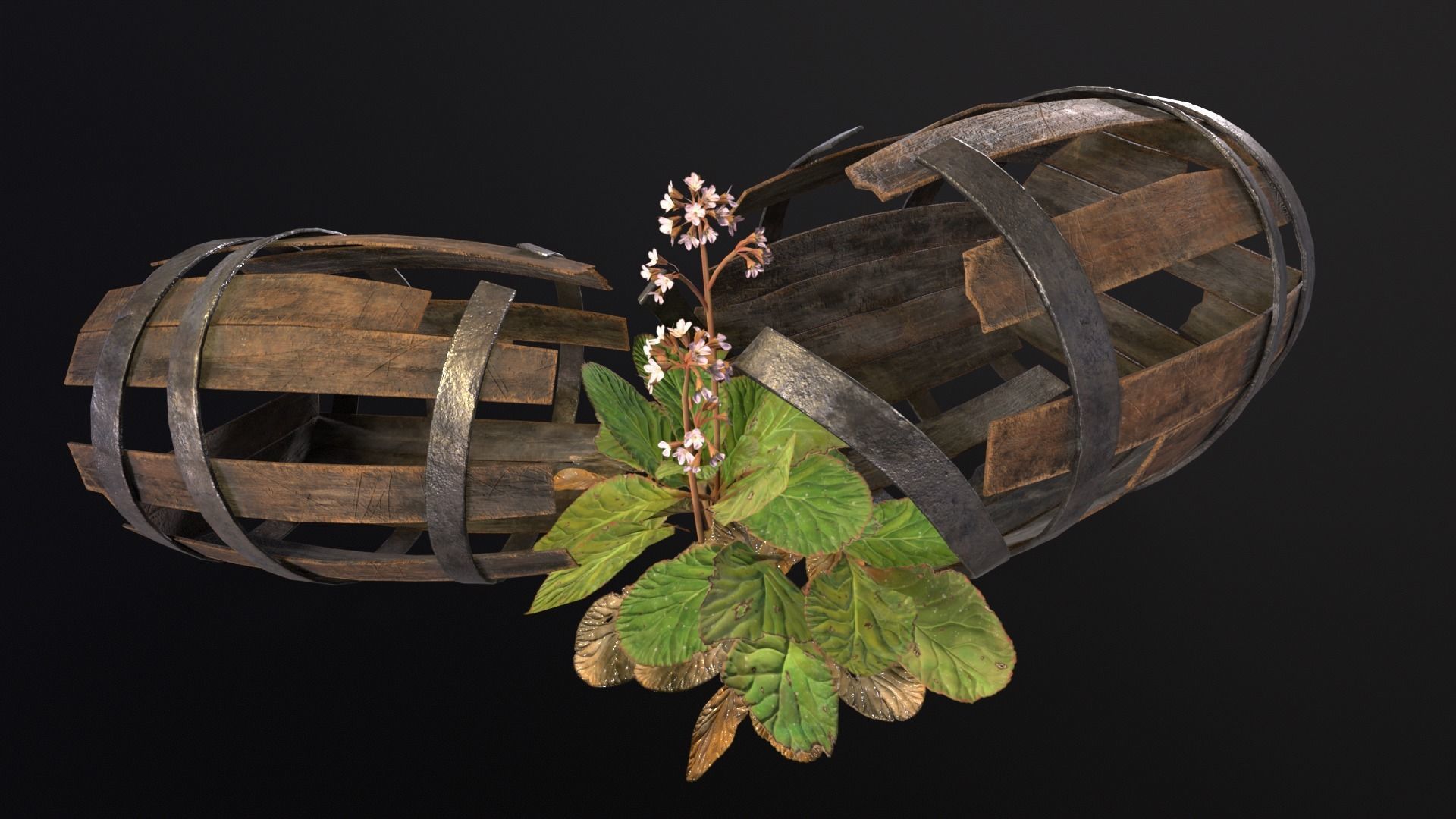 Broken Old Barrels Low-poly 3D model_2