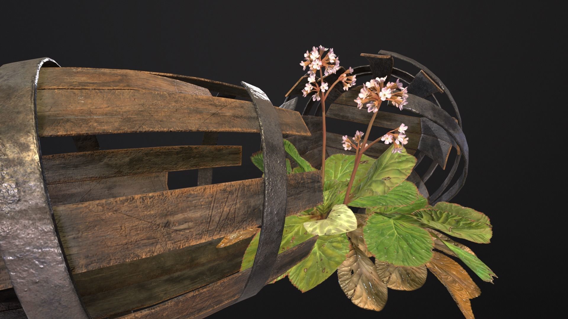 Broken Old Barrels Low-poly 3D model_20