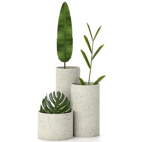 indoor plant set 01 Free 3D model