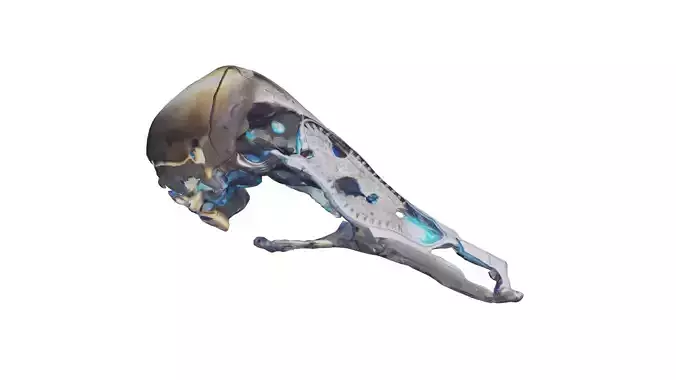 Robotic Hammer Free low-poly 3D model